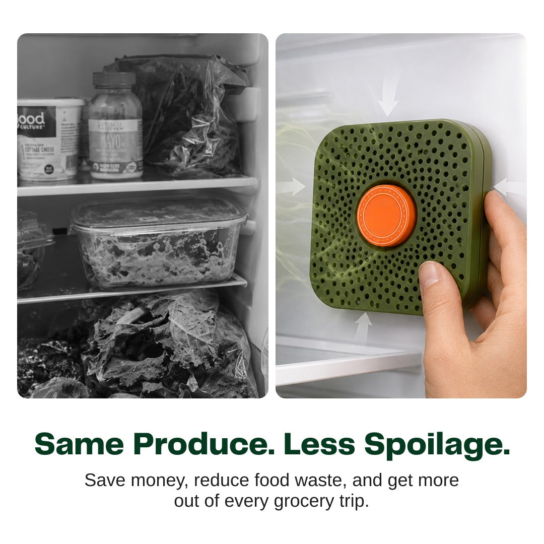 The Fridgie | Stop watching your groceries go to waste