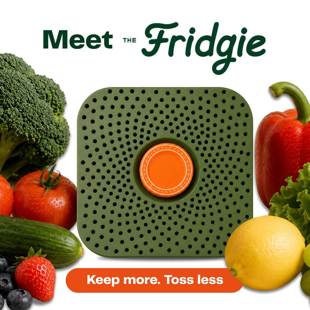 The Fridgie | Stop watching your groceries go to waste