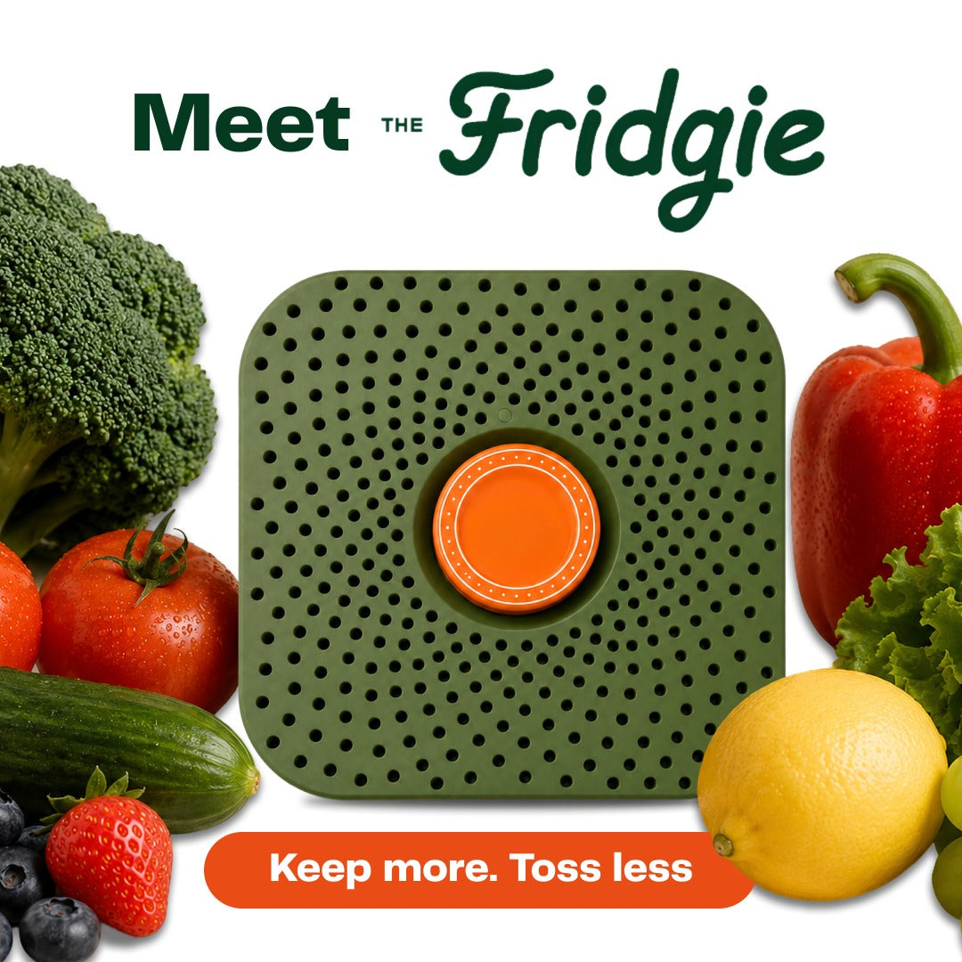 The Fridgie | Stop watching your groceries go to waste