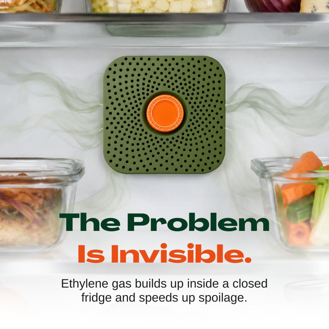 The Fridgie | Stop watching your groceries go to waste