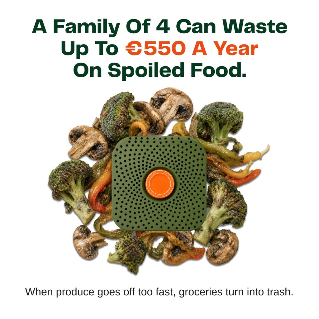 The Fridgie | Stop watching your groceries go to waste