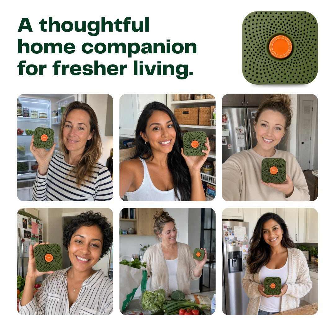 The Fridgie | Stop watching your groceries go to waste
